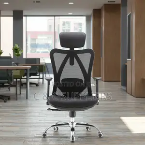 Adjustable Desk Chair With Lumbar Support