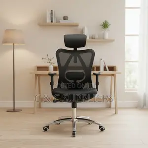 Adjustable Desk Chair With Lumbar Support
