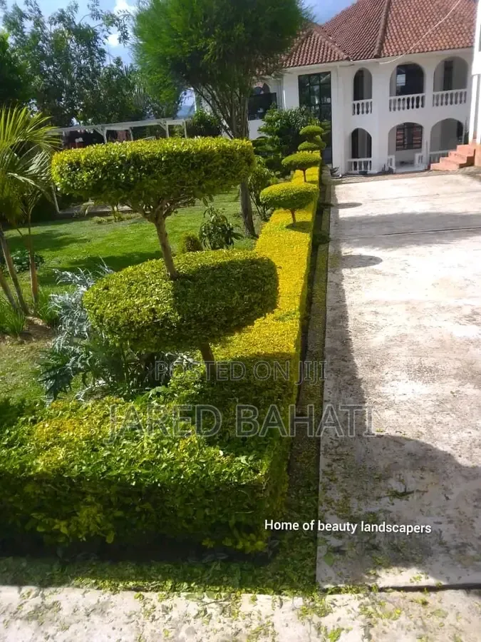 Jades Landscaping Services in Nairobi
