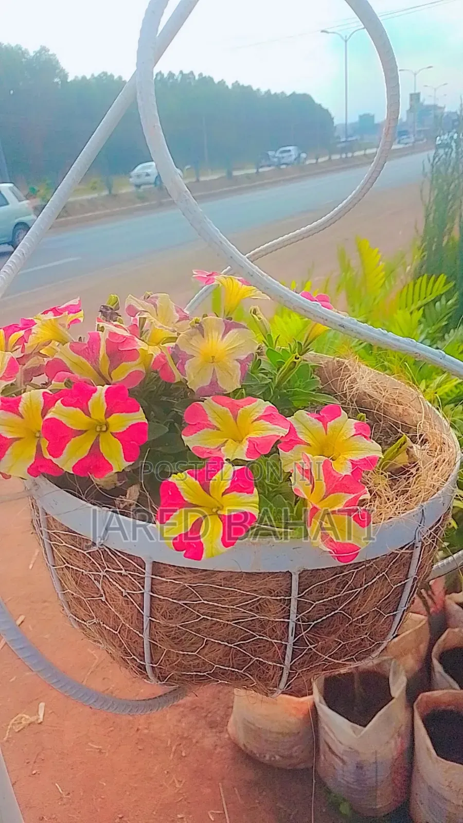 Jades Landscaping Services in Nairobi