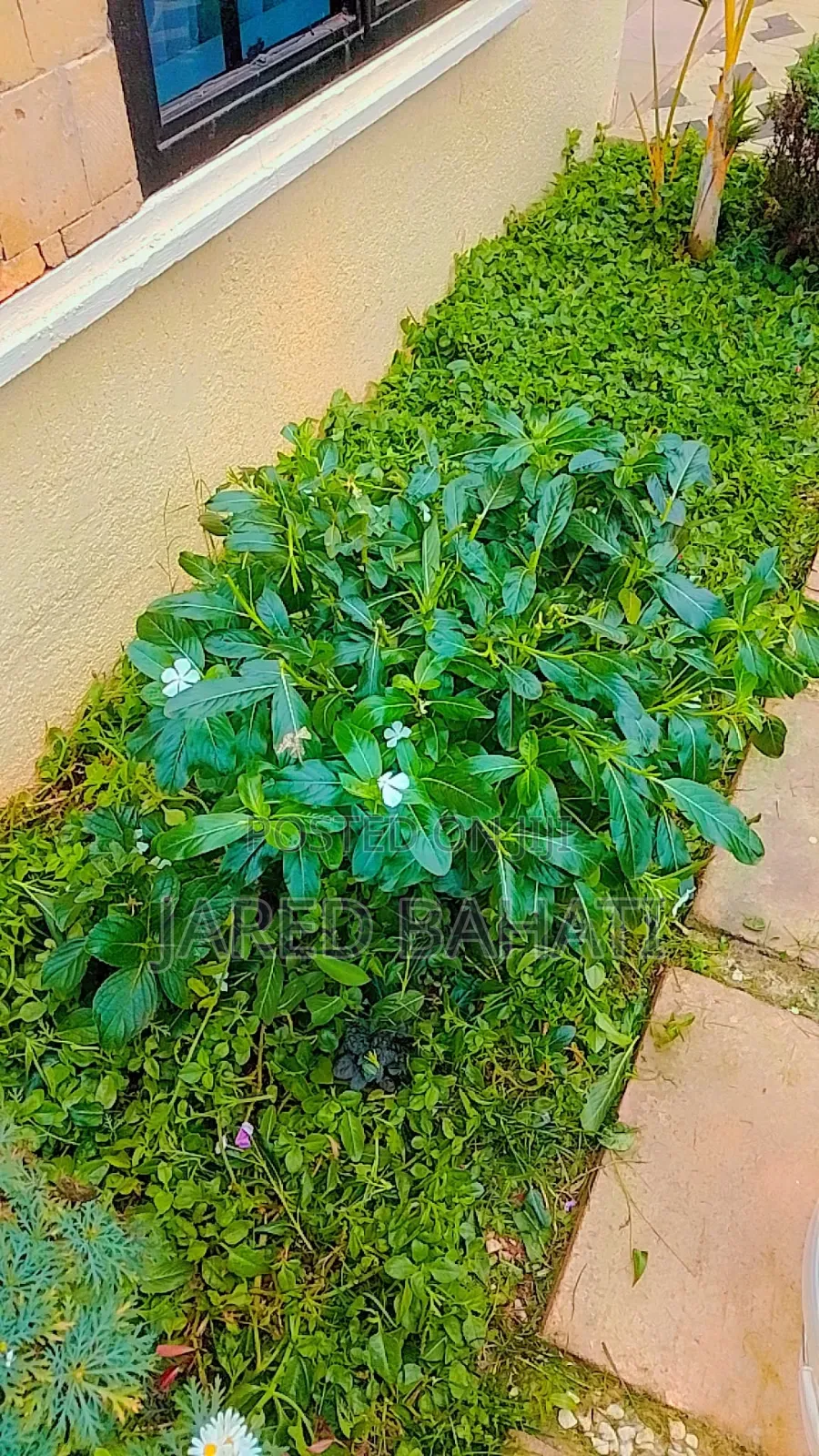 Jades Landscaping Services in Nairobi