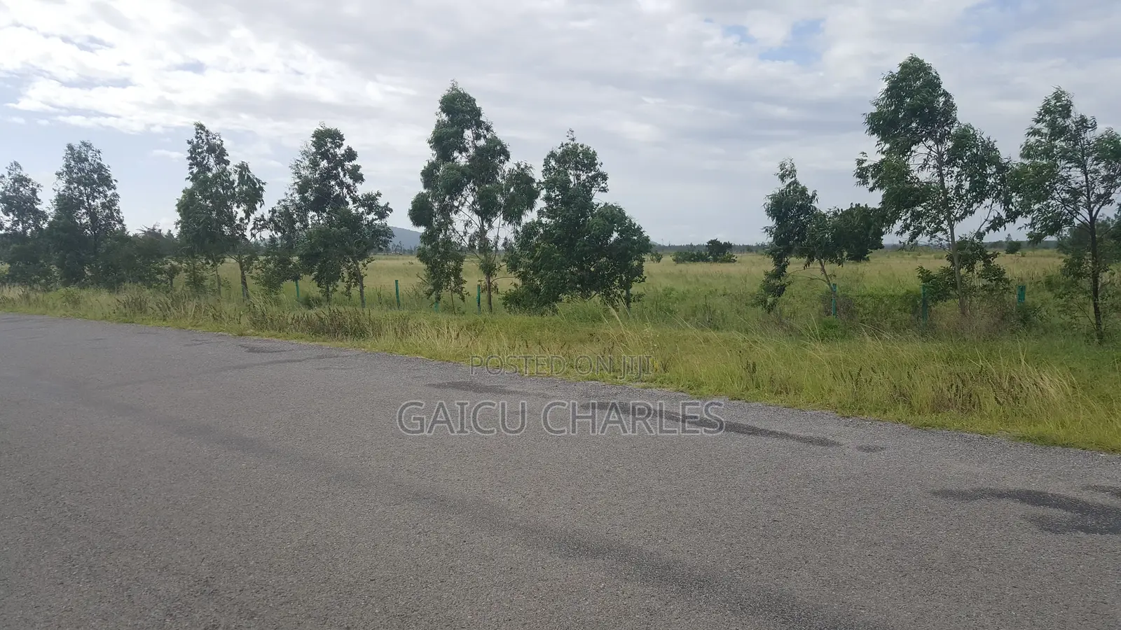 Land for Sale