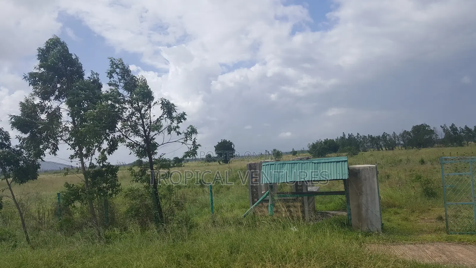 Land for Sale