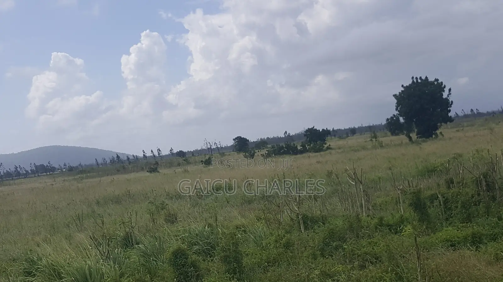 Land for Sale
