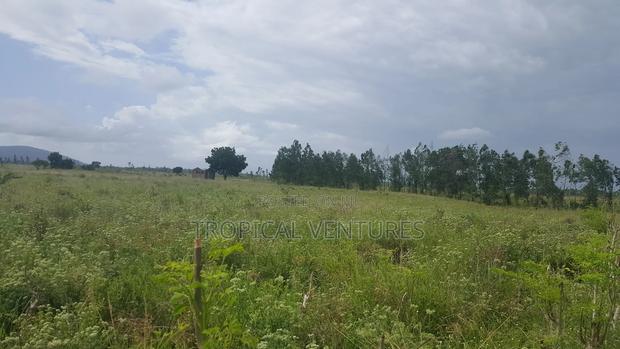 Land for Sale - thumbnail 6