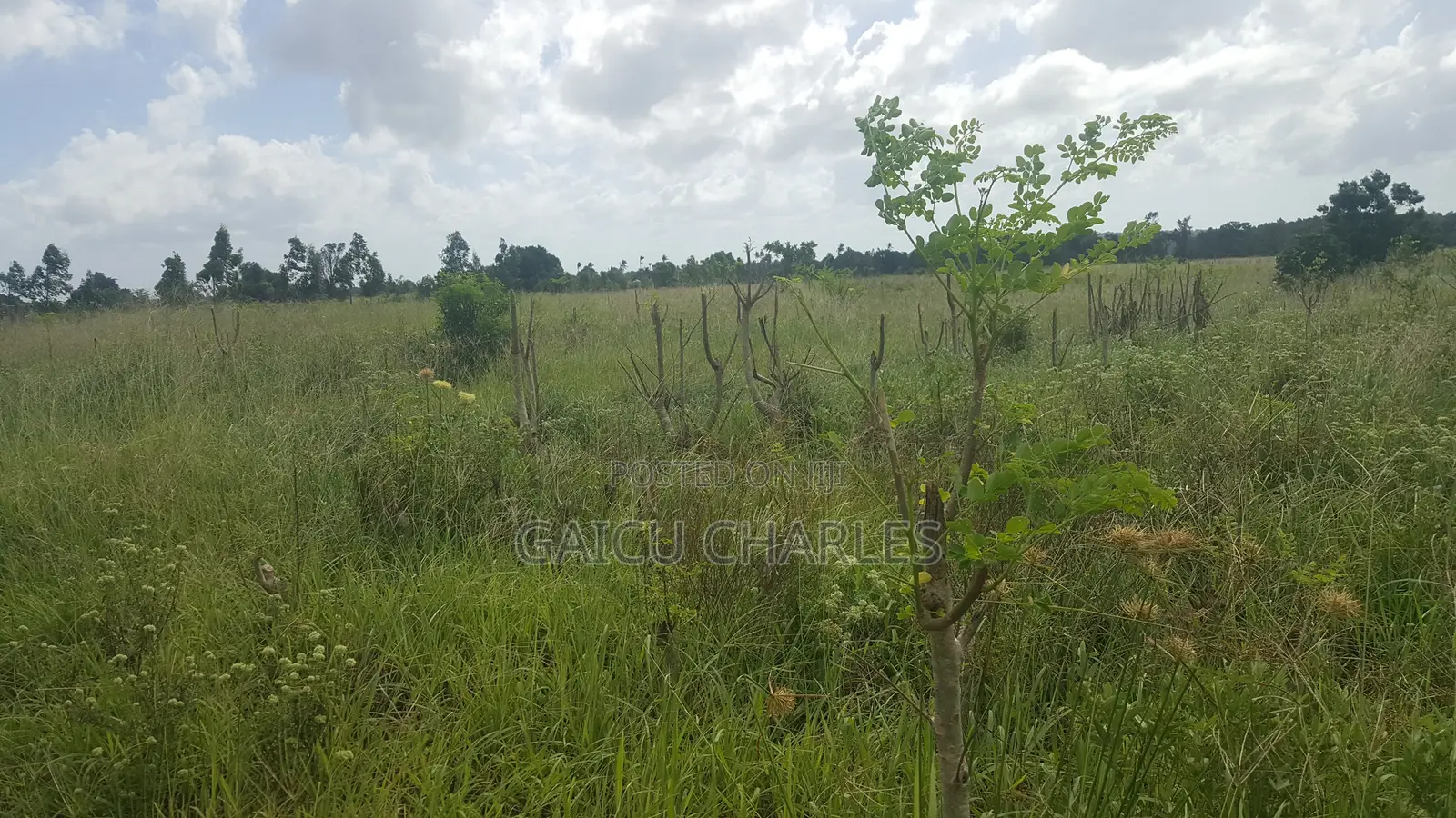 Land for Sale