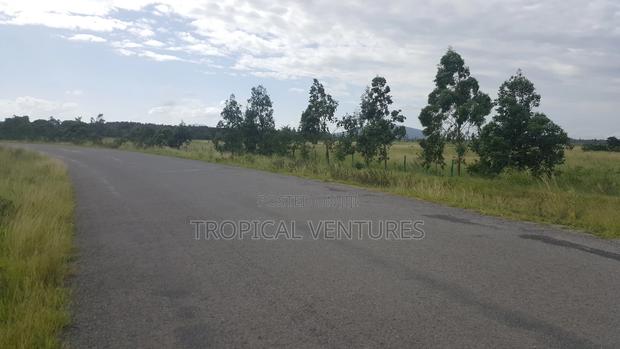 Land for Sale - thumbnail 9