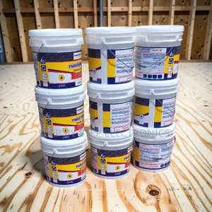 Import Prices 20L30L,40L Ruff N Tuff Wall Master Textured Paints