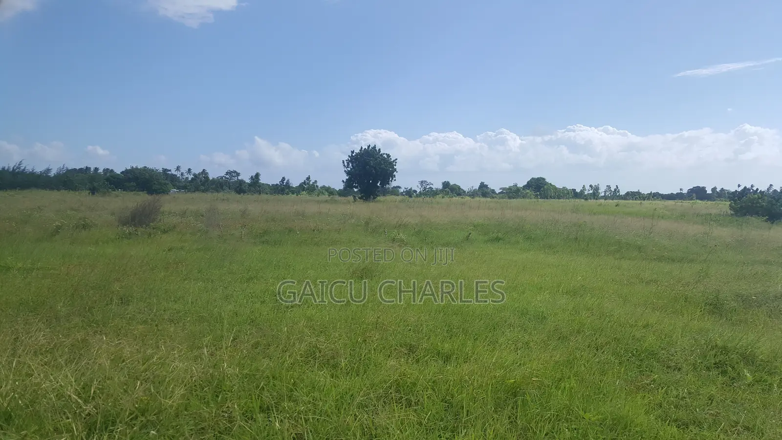 Land for Sale