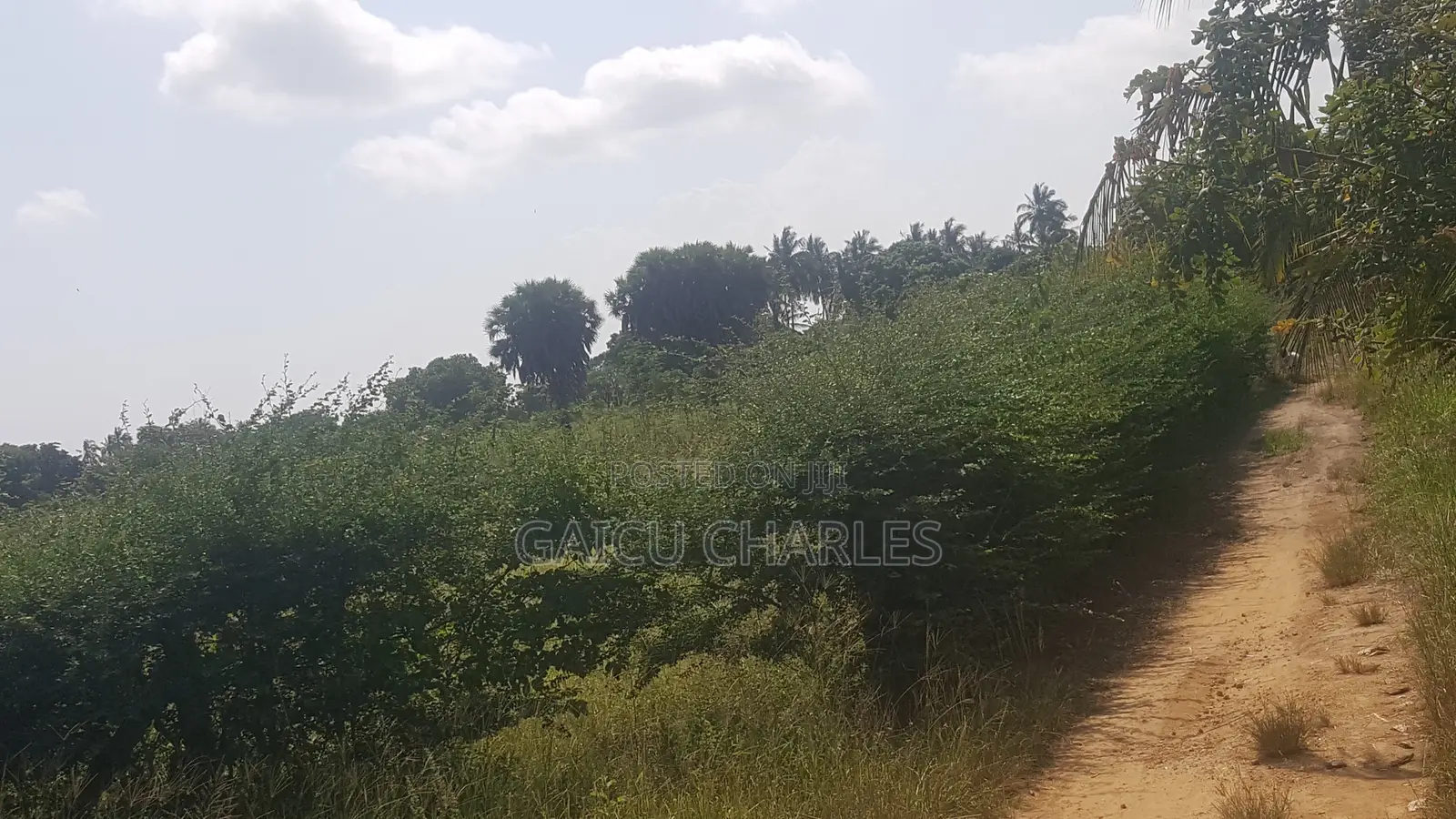 Land for Sale