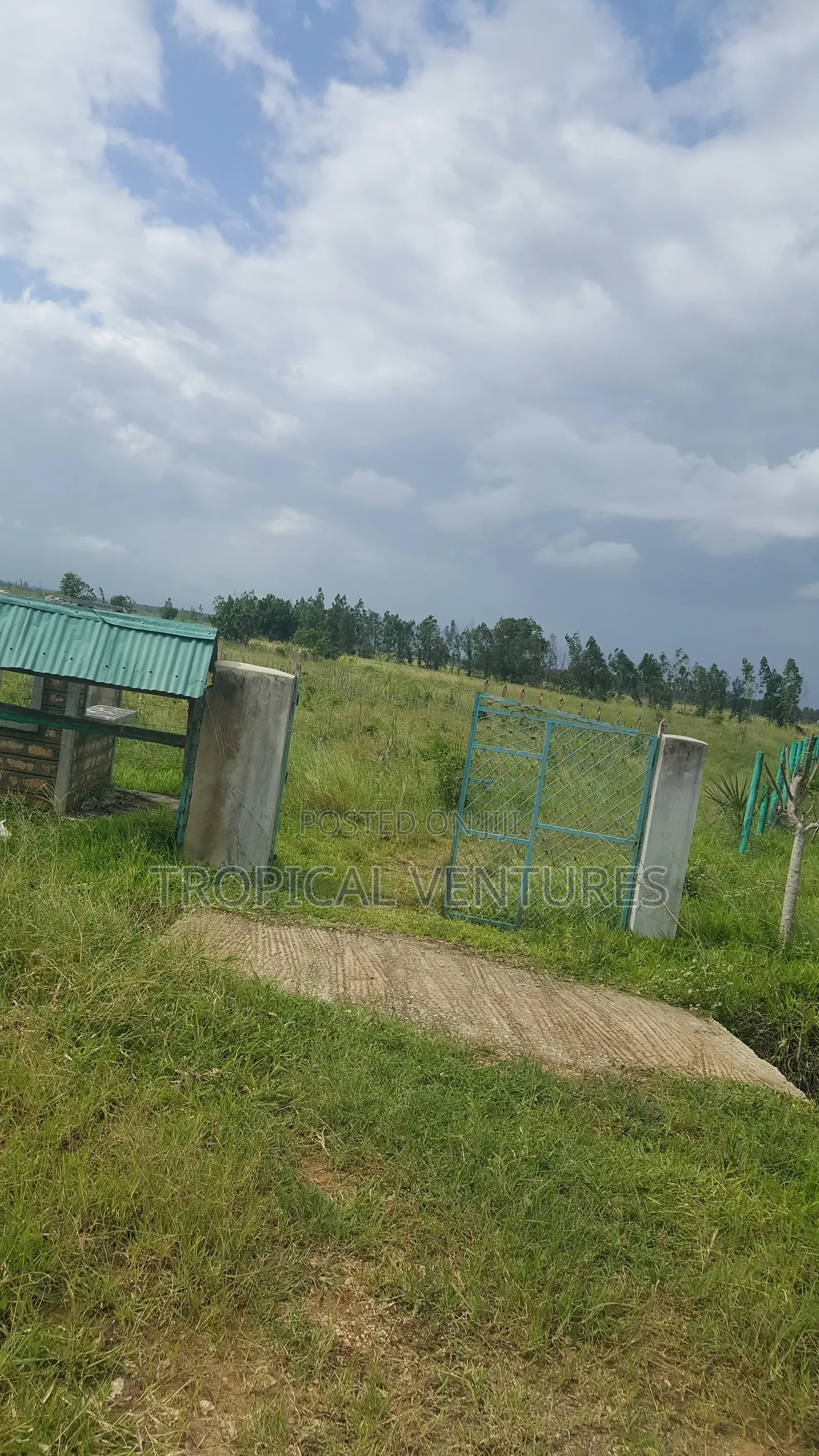 Land for Sale