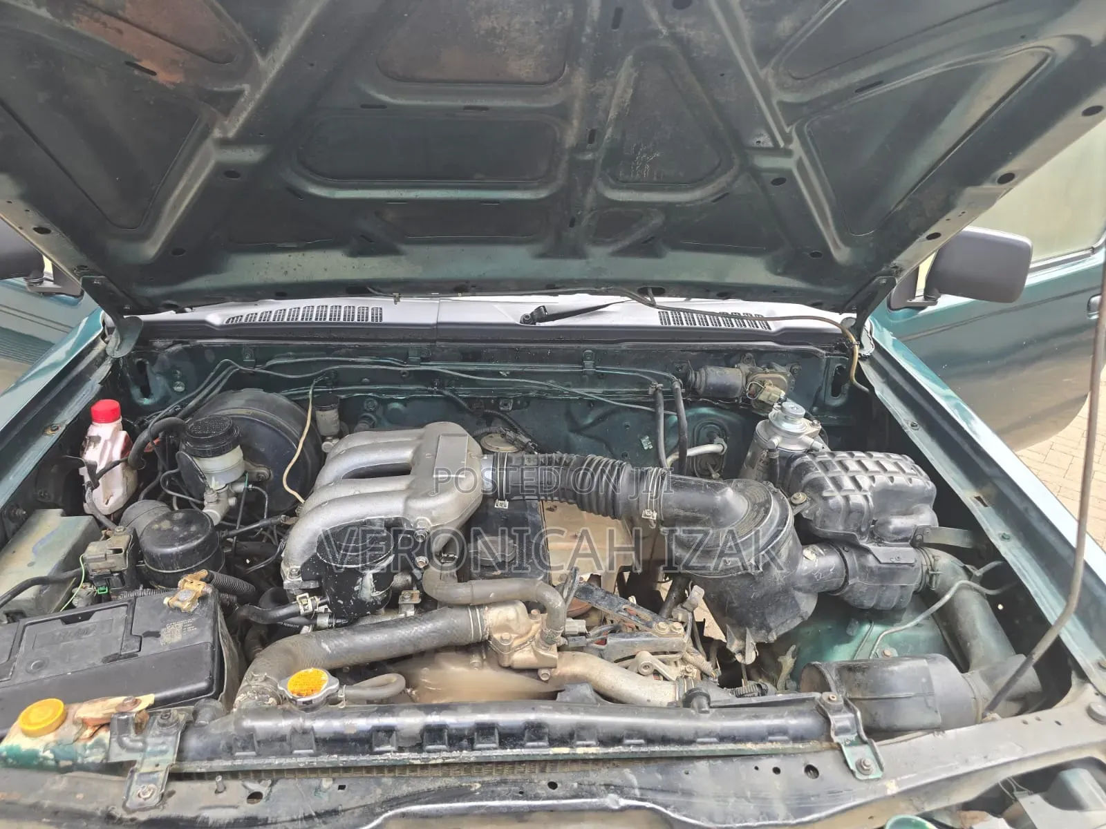Nissan Hardbody 2008 Green