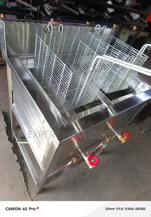 Double Gas Fryer