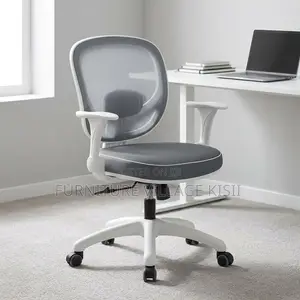 Ergonomic Mesh Task Chair