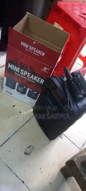 8-Inch YS-V802 Mini Speaker