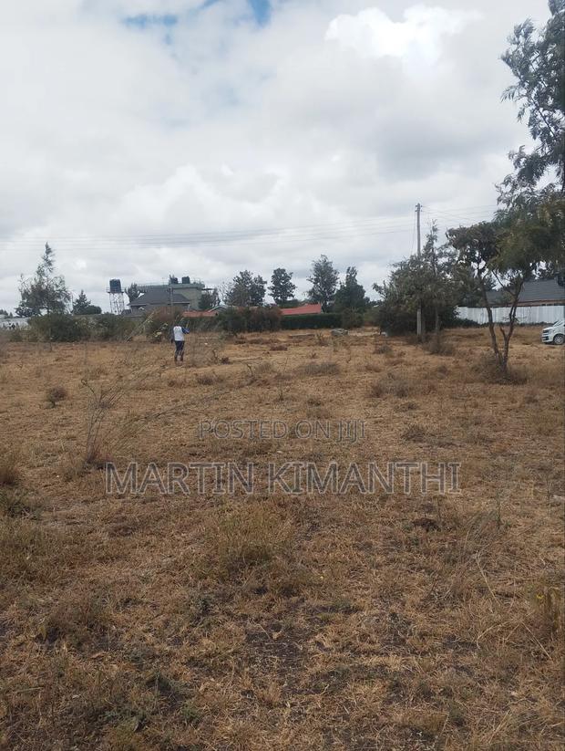 1/4 Acre on Sale - thumbnail 3