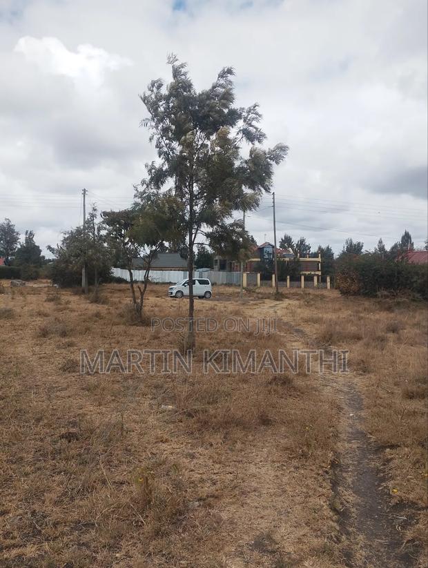 1/4 Acre on Sale - thumbnail 4