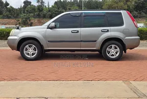 Nissan X-Trail 2.0 2007 Gray