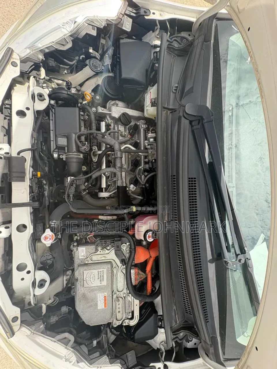 Toyota Vitz 2019 White
