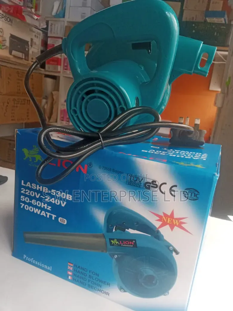 Lion 700W Electric Hand Blower