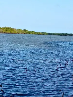 Waterfront Land for Sale