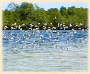 Waterfront Land for Sale