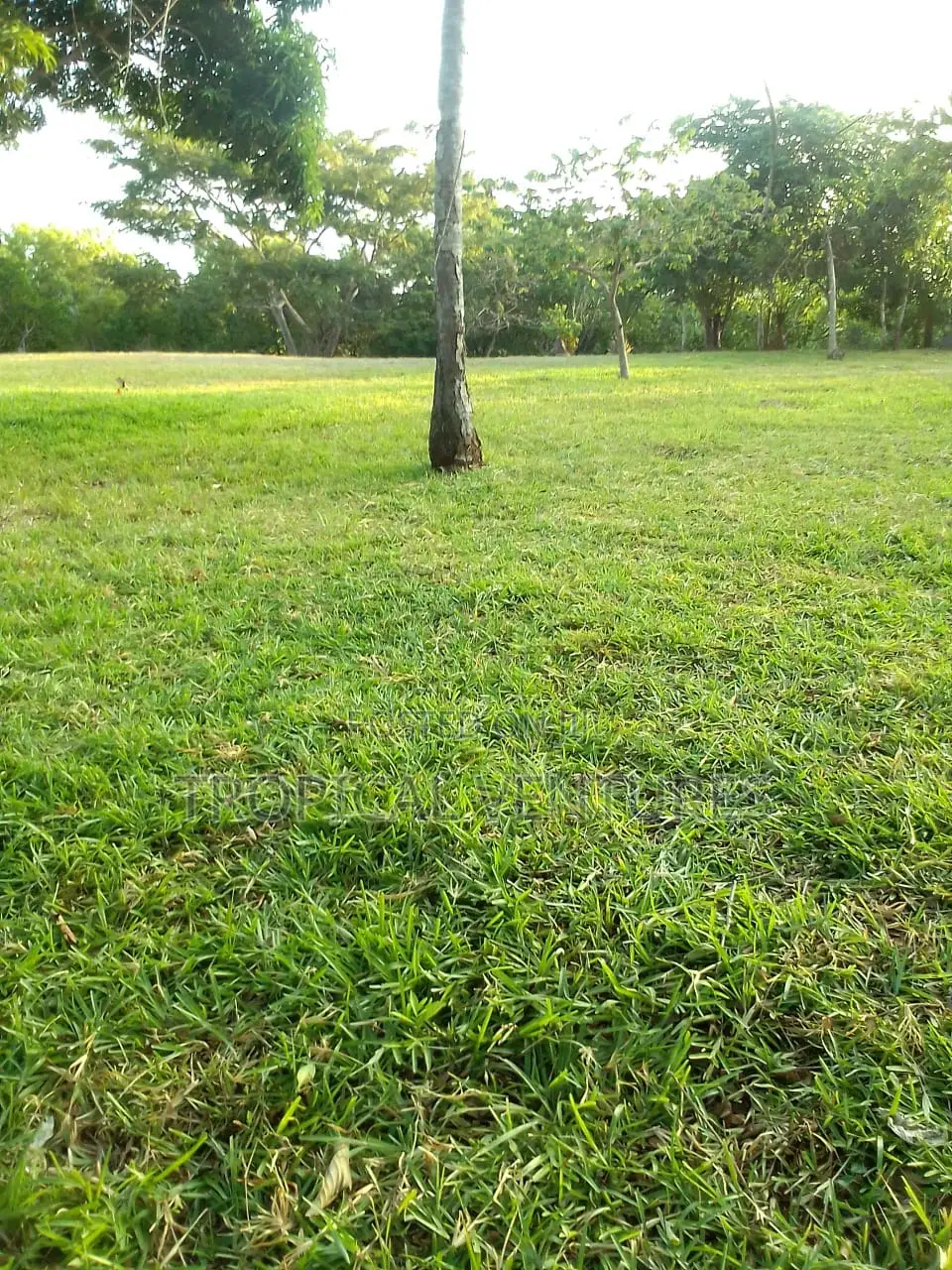 Waterfront Land for Sale