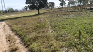 Land for Sale – Mazeras, Kokoteni 2 Acre