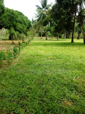 Waterfront Land for Sale
