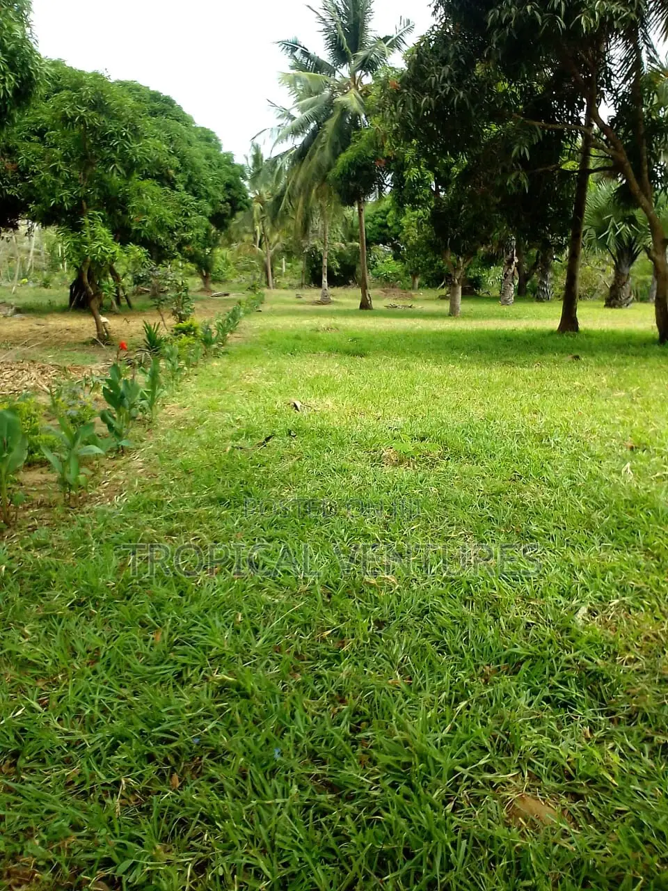 Waterfront Land for Sale