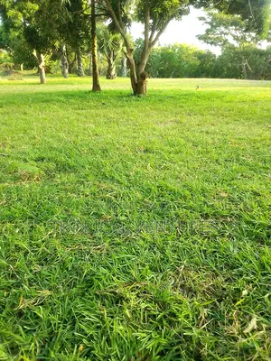 Waterfront Land for Sale