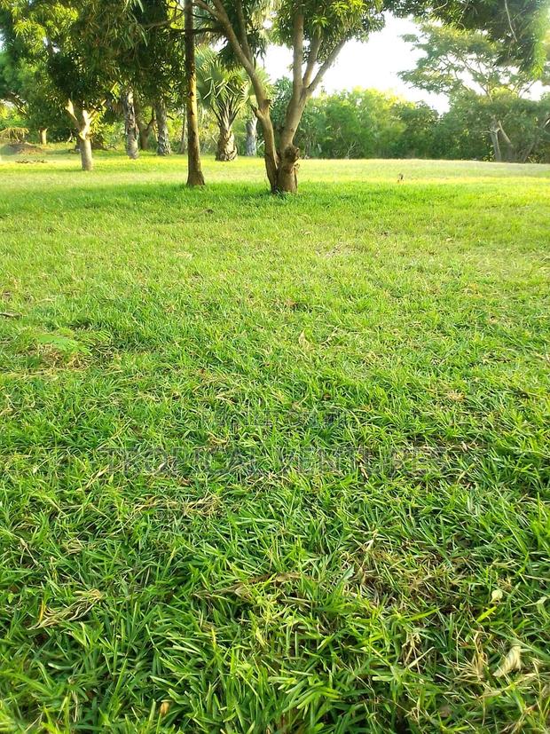 Waterfront Land for Sale - thumbnail 5