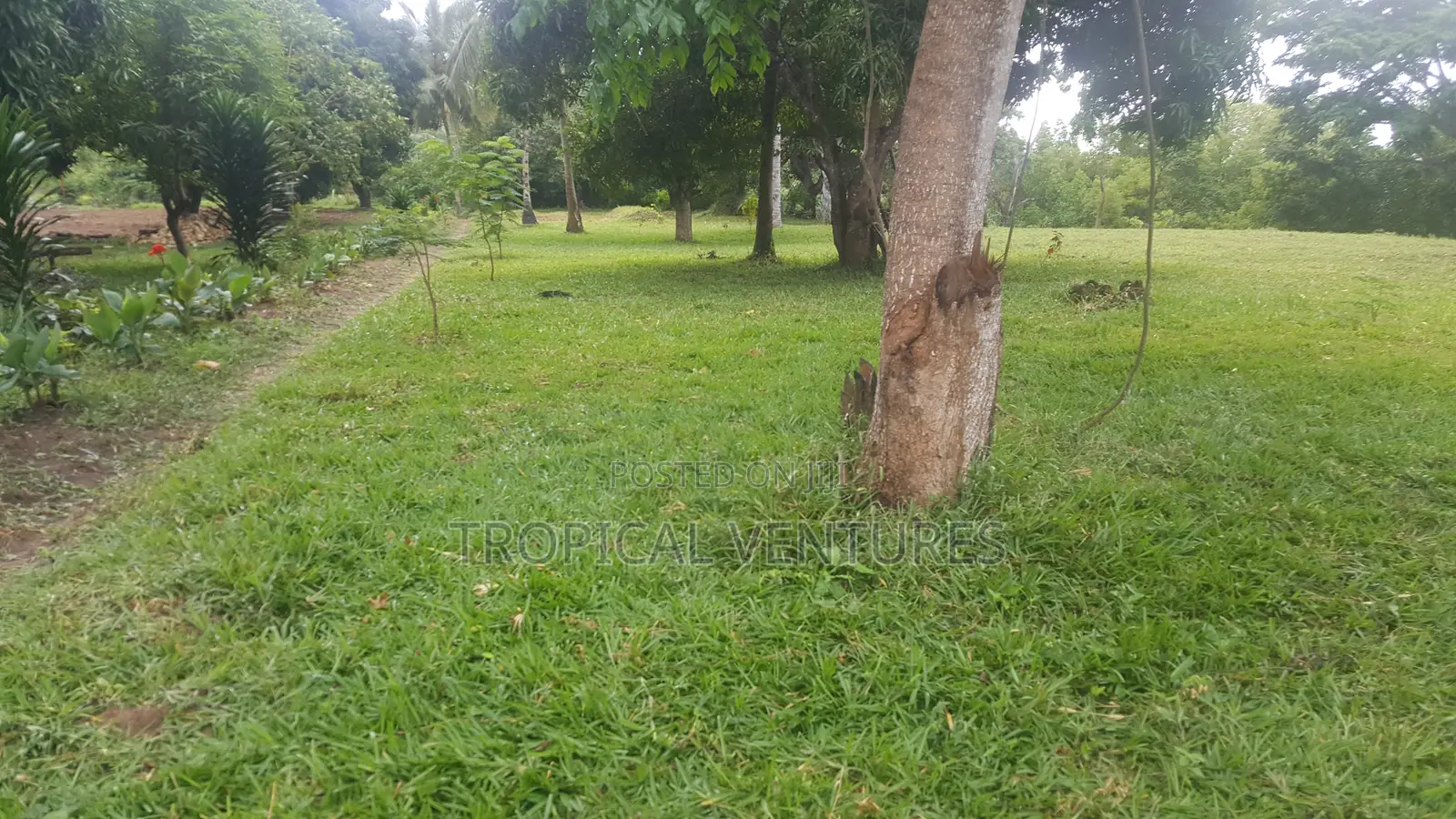 Waterfront Land for Sale