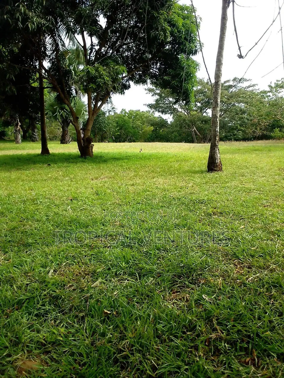Waterfront Land for Sale
