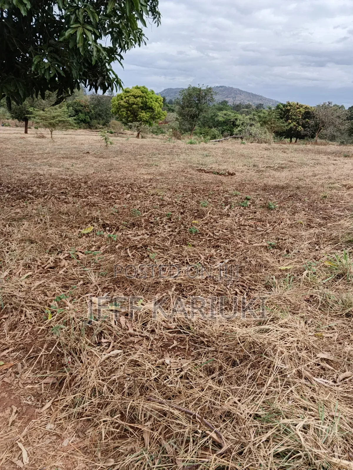 Land in Siakago