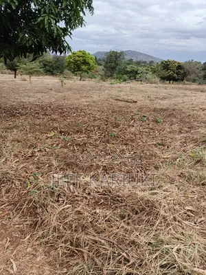 Land in Siakago
