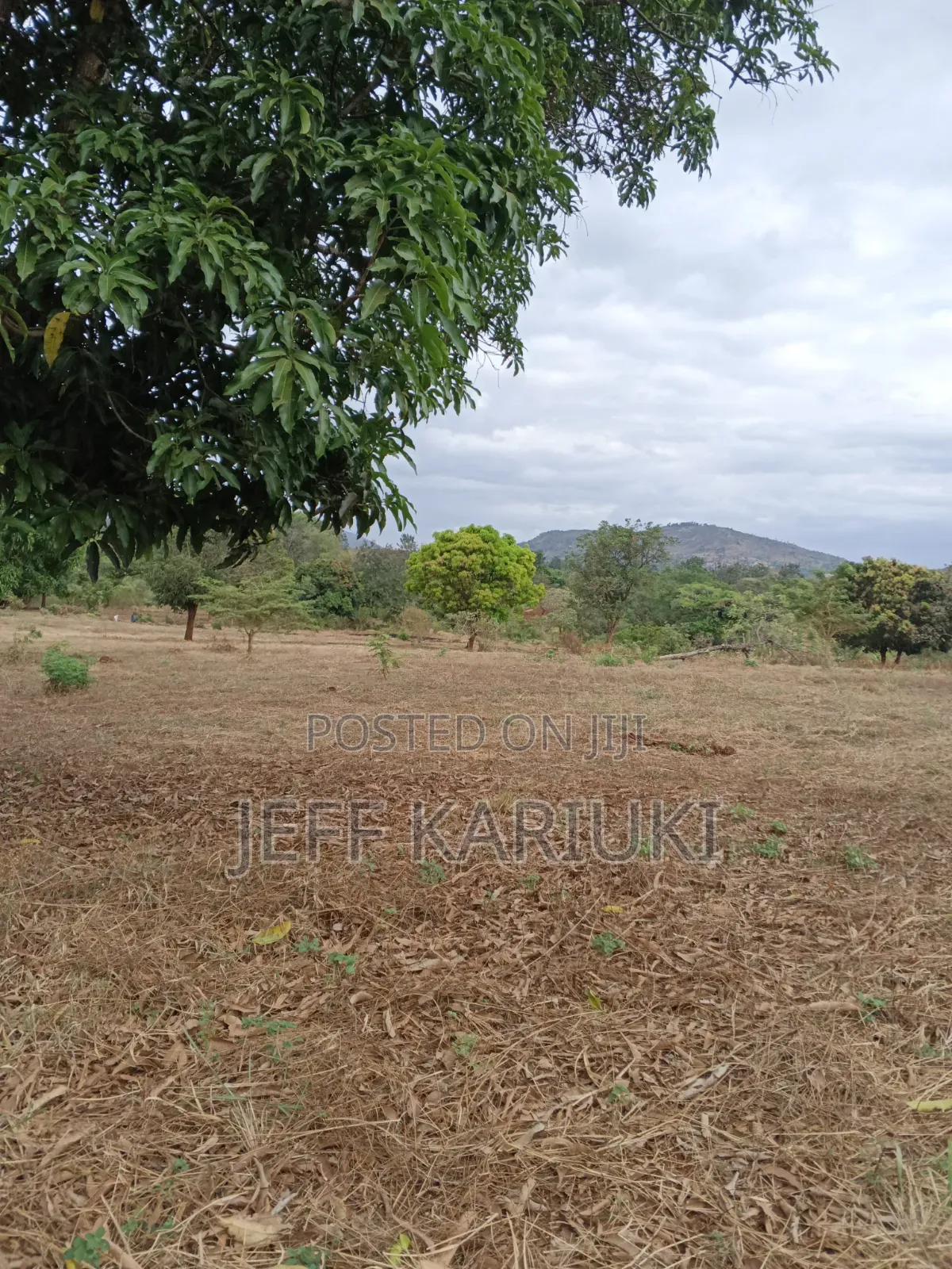 Land in Siakago