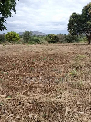 Land in Siakago