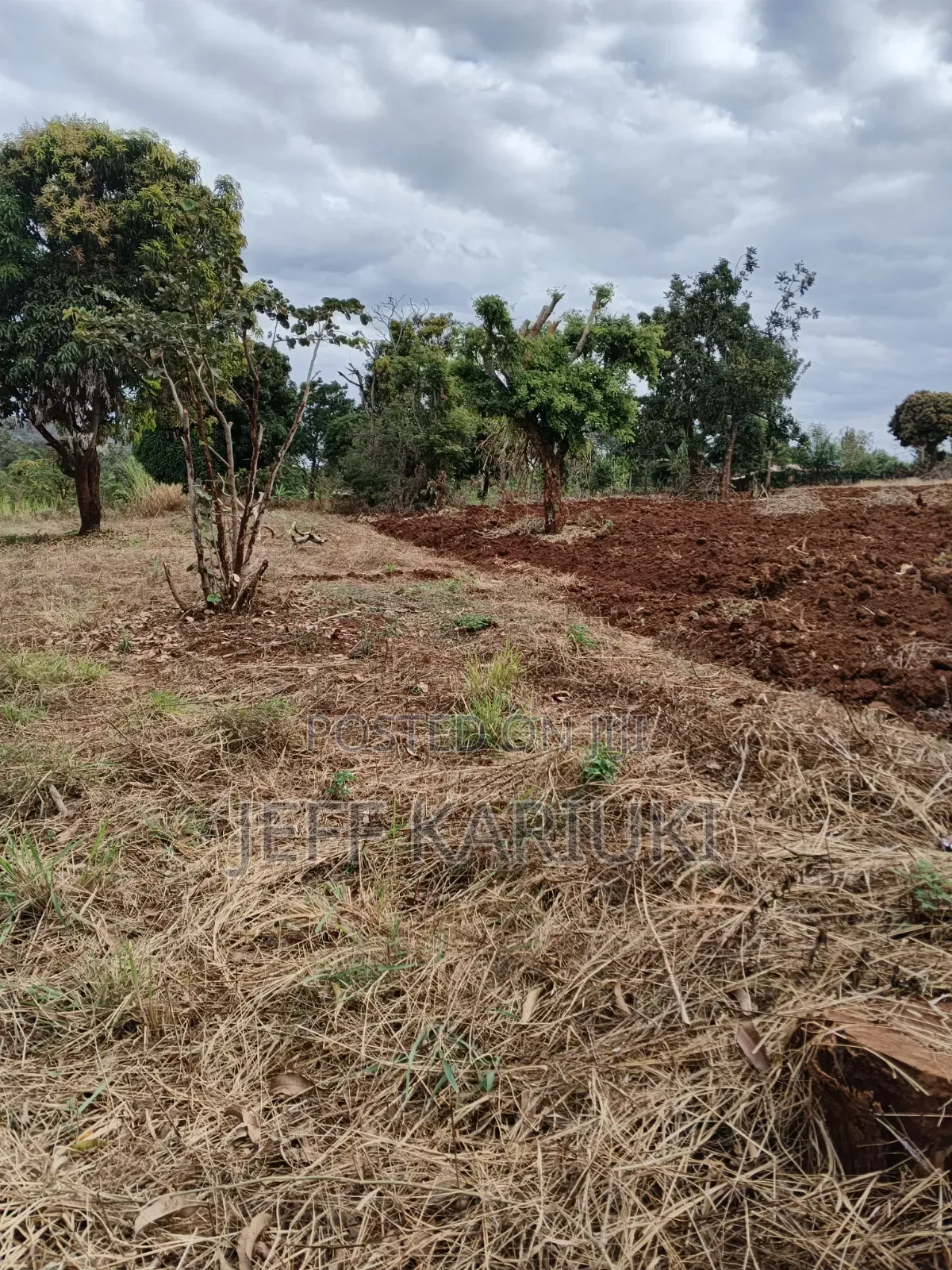 Land in Siakago