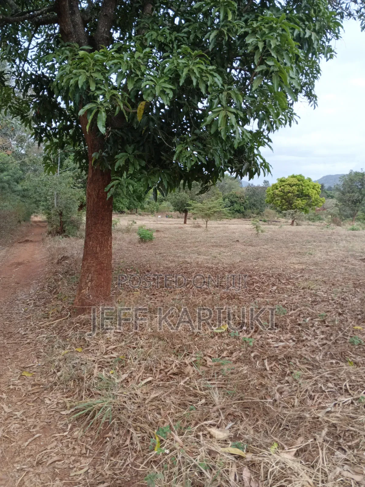Land in Siakago