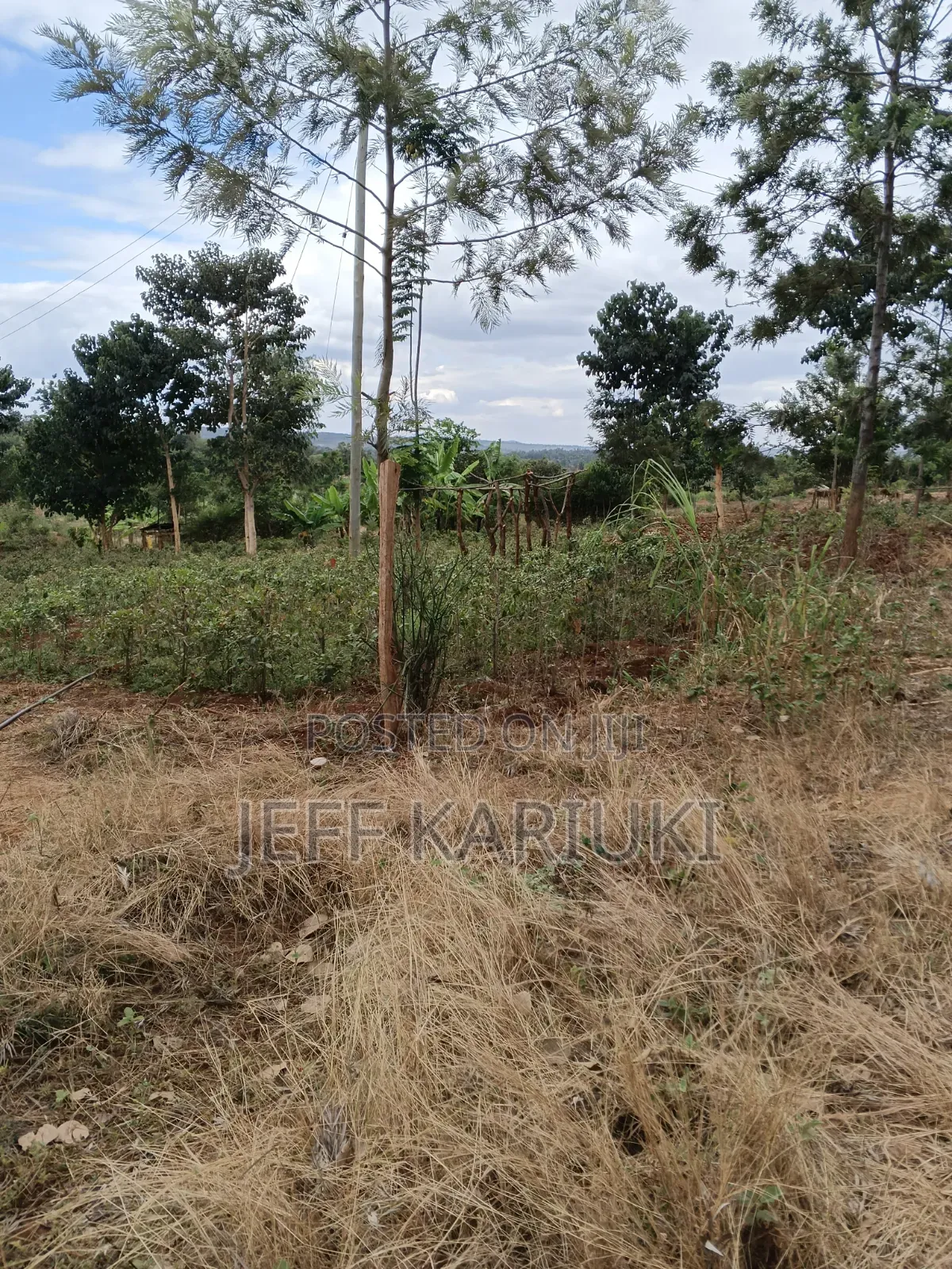 Land in Siakago