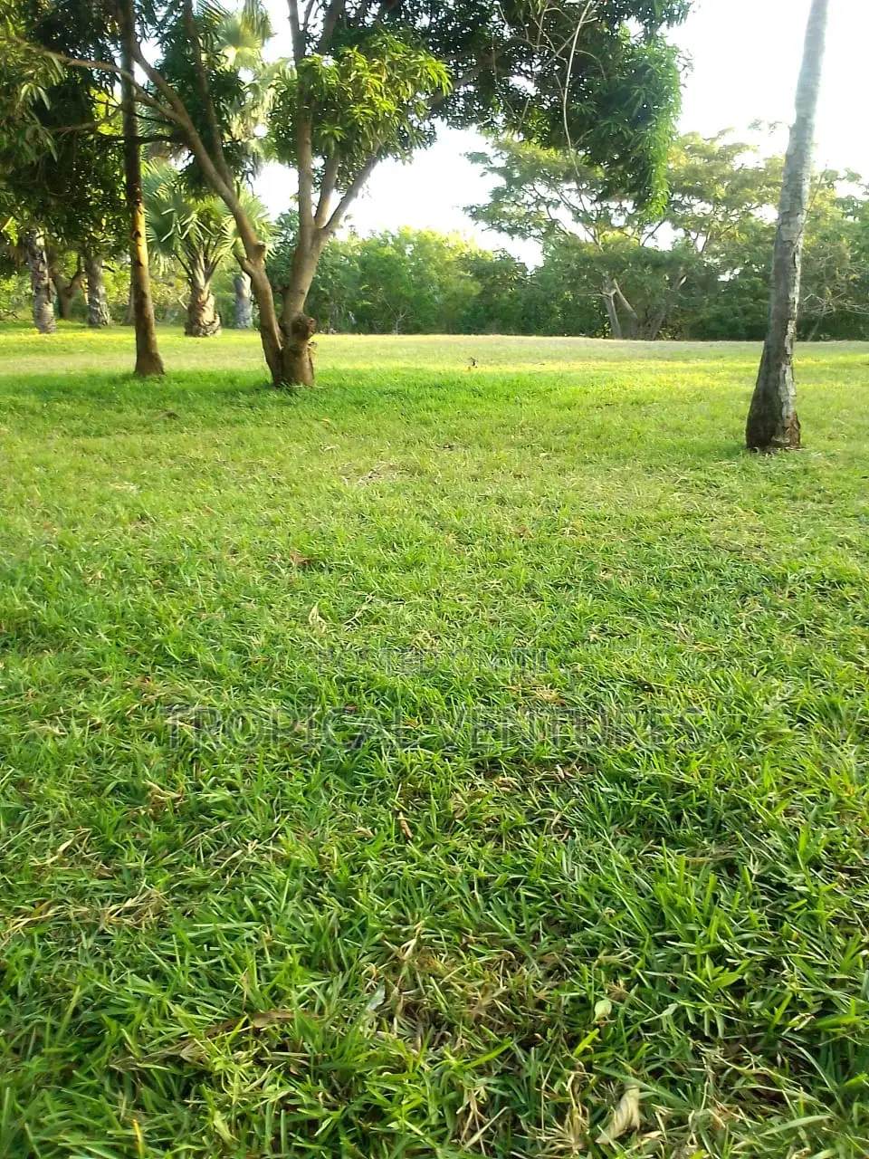Waterfront Land for Sale