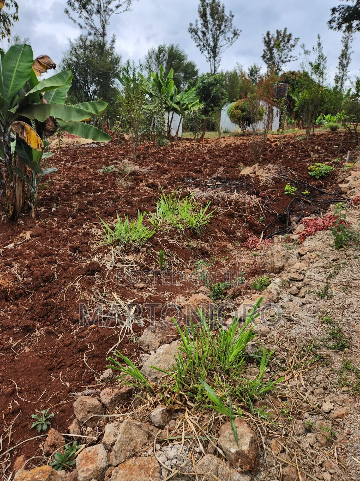 1 Acre Muthiga Gatundu