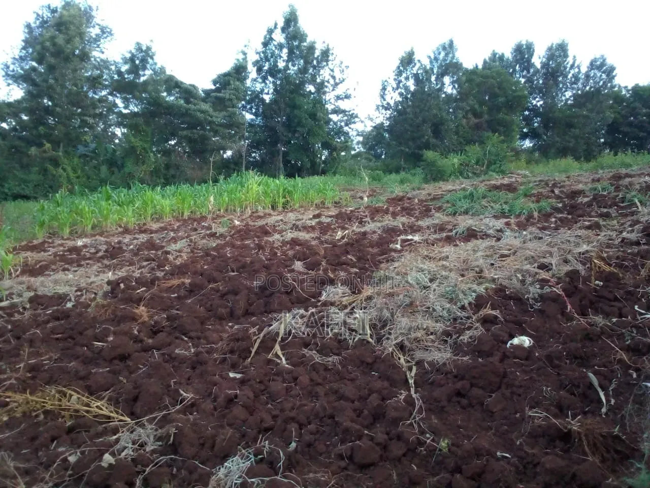 1 Acre Plot for Sale in Kinoo 87