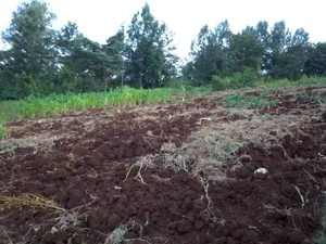 1 Acre Plot for Sale in Kinoo 87