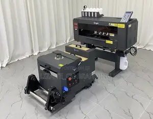 30cm DTF Printer With Double Xp600 Printer Heads