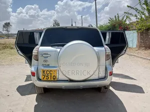 Toyota RAV4 2009 Silver