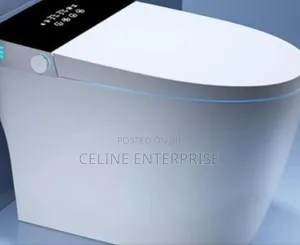 Bolesi Smart Toilet