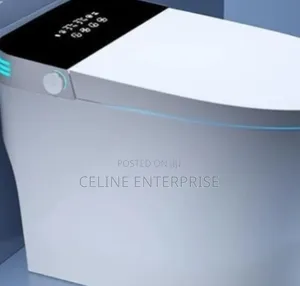 Bolesi High Quality Smart Toilet