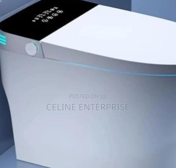 Bolesi High Quality Smart Toilet